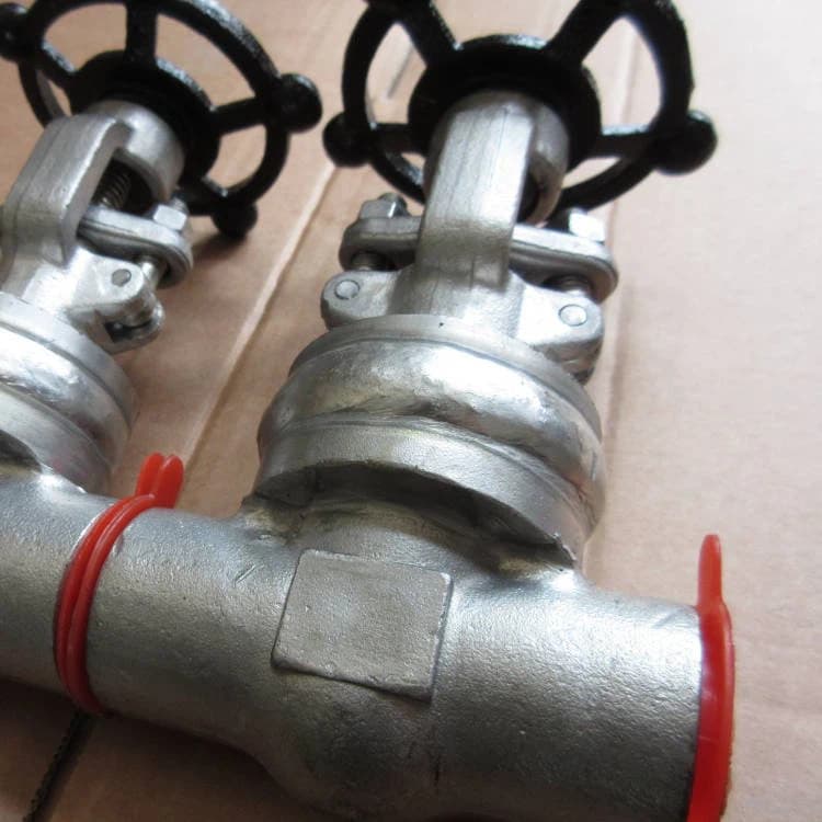 Alloy 20 Gate Valve